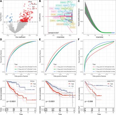 Comprehensive genomics analysis of aging related gene signature to predict the prognosis and drug resistance of colon adenocarcinoma